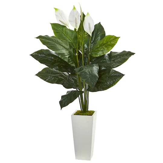 4ft. Peace Lily Plant in White Tower Planter